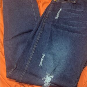 Woman’s Distressed Blue Jeans